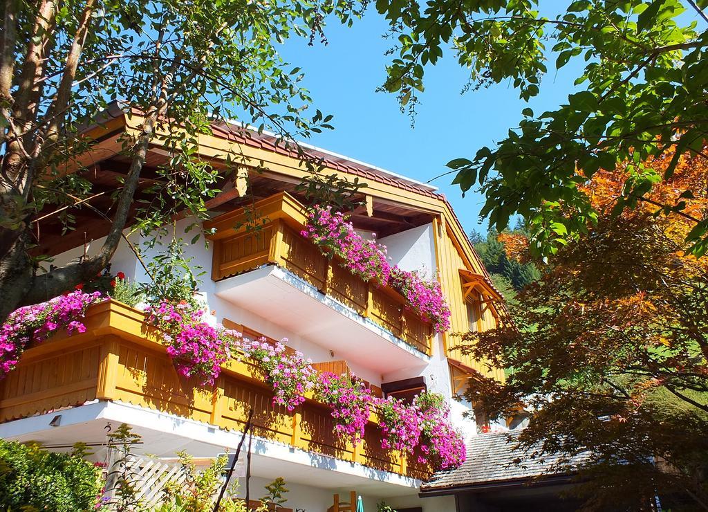 Gaestehaus Amort Guest house
