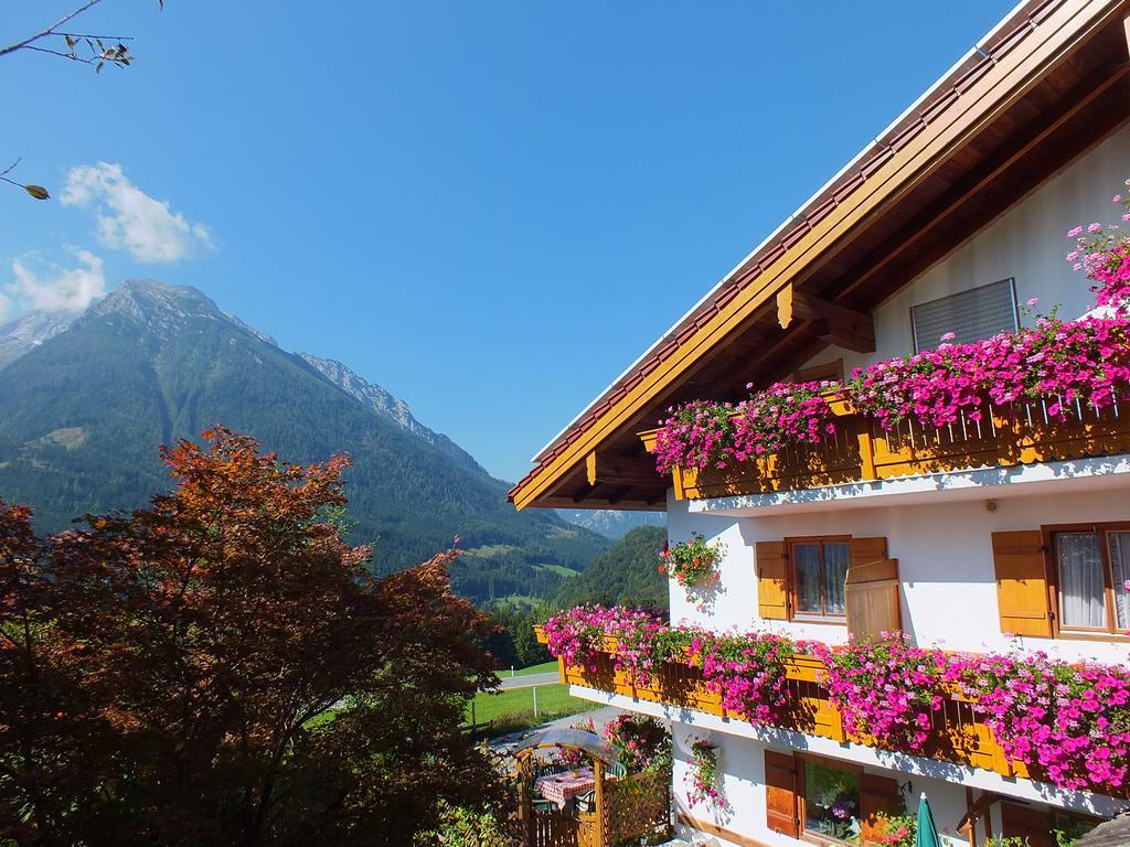 Gaestehaus Amort *